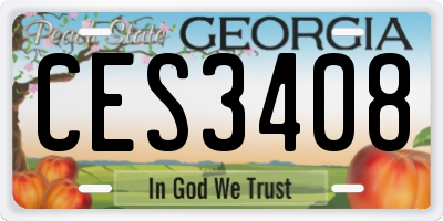 GA license plate CES3408