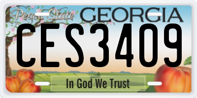GA license plate CES3409