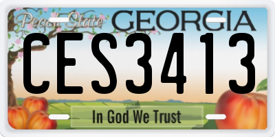 GA license plate CES3413