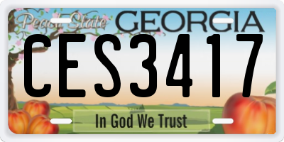 GA license plate CES3417