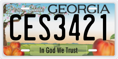 GA license plate CES3421
