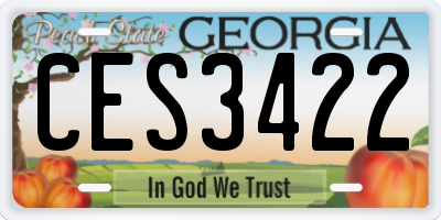 GA license plate CES3422