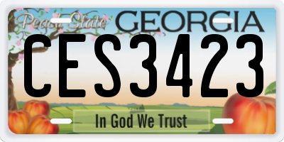 GA license plate CES3423