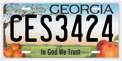 GA license plate CES3424