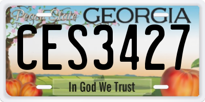 GA license plate CES3427