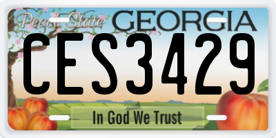 GA license plate CES3429