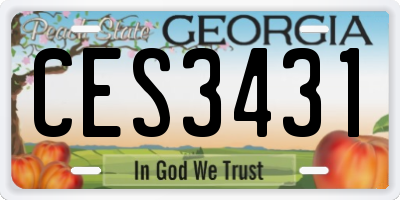 GA license plate CES3431