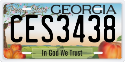 GA license plate CES3438