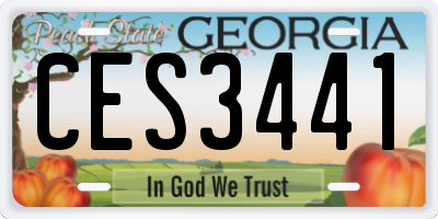 GA license plate CES3441