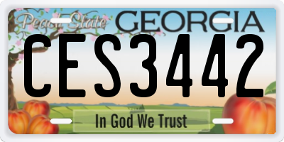 GA license plate CES3442