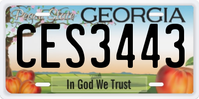 GA license plate CES3443