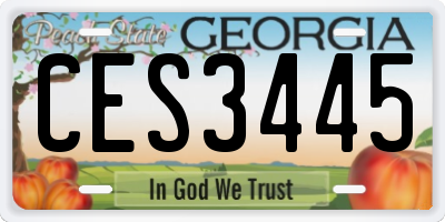 GA license plate CES3445