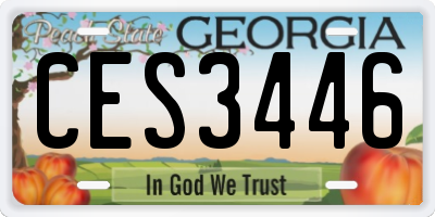 GA license plate CES3446