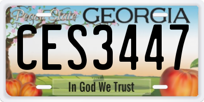 GA license plate CES3447