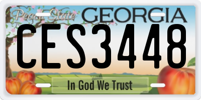 GA license plate CES3448