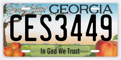 GA license plate CES3449