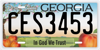GA license plate CES3453