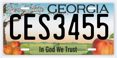 GA license plate CES3455