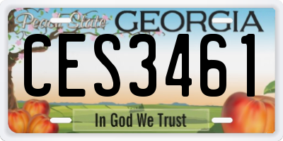 GA license plate CES3461