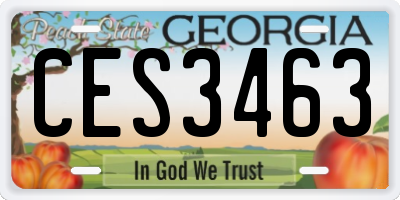GA license plate CES3463