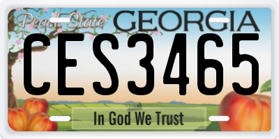 GA license plate CES3465