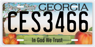GA license plate CES3466