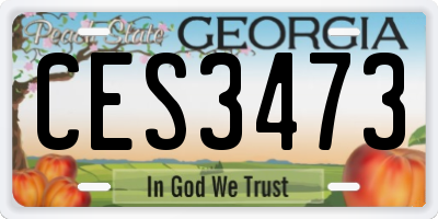 GA license plate CES3473