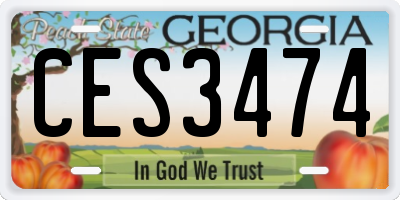 GA license plate CES3474
