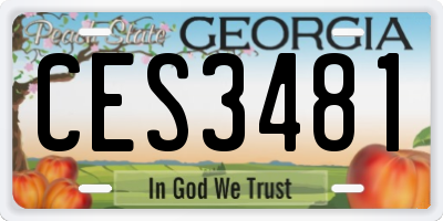 GA license plate CES3481
