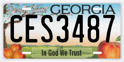 GA license plate CES3487