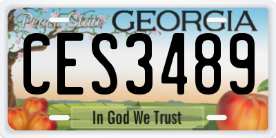 GA license plate CES3489