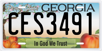 GA license plate CES3491