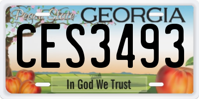 GA license plate CES3493