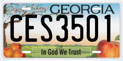 GA license plate CES3501