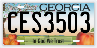 GA license plate CES3503