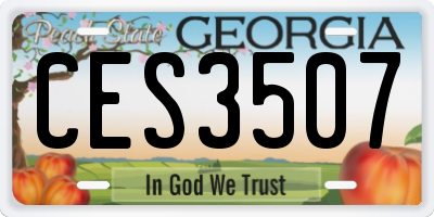 GA license plate CES3507