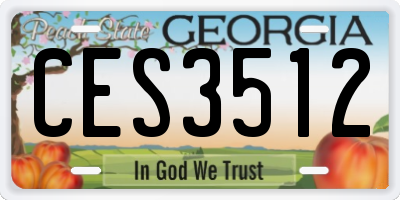 GA license plate CES3512