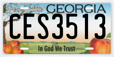 GA license plate CES3513
