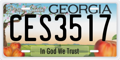 GA license plate CES3517