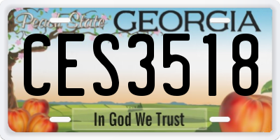GA license plate CES3518