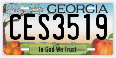 GA license plate CES3519
