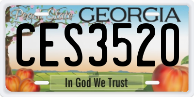 GA license plate CES3520