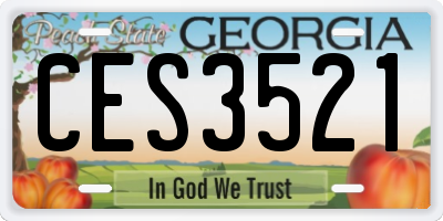 GA license plate CES3521