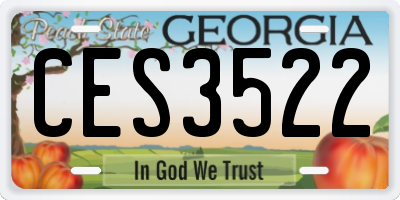 GA license plate CES3522