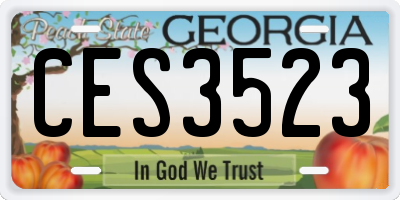 GA license plate CES3523