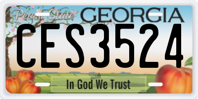 GA license plate CES3524