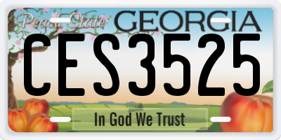 GA license plate CES3525