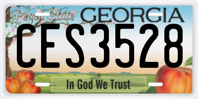 GA license plate CES3528