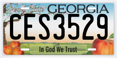 GA license plate CES3529