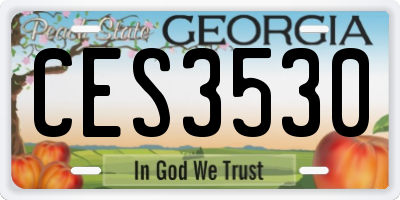 GA license plate CES3530
